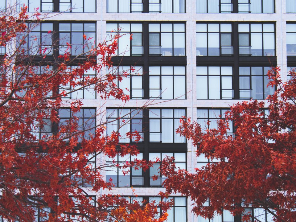 Modern Building